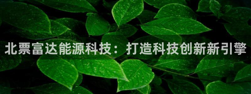 sunbet手机网页版