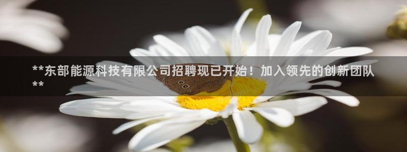 sunbet英语翻译