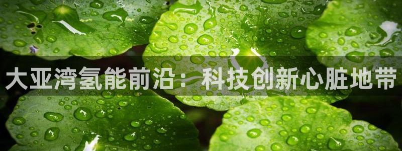 sunbet最新登陆